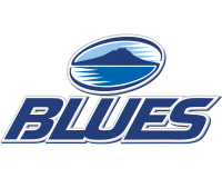 Blues Team Logo Profile Page