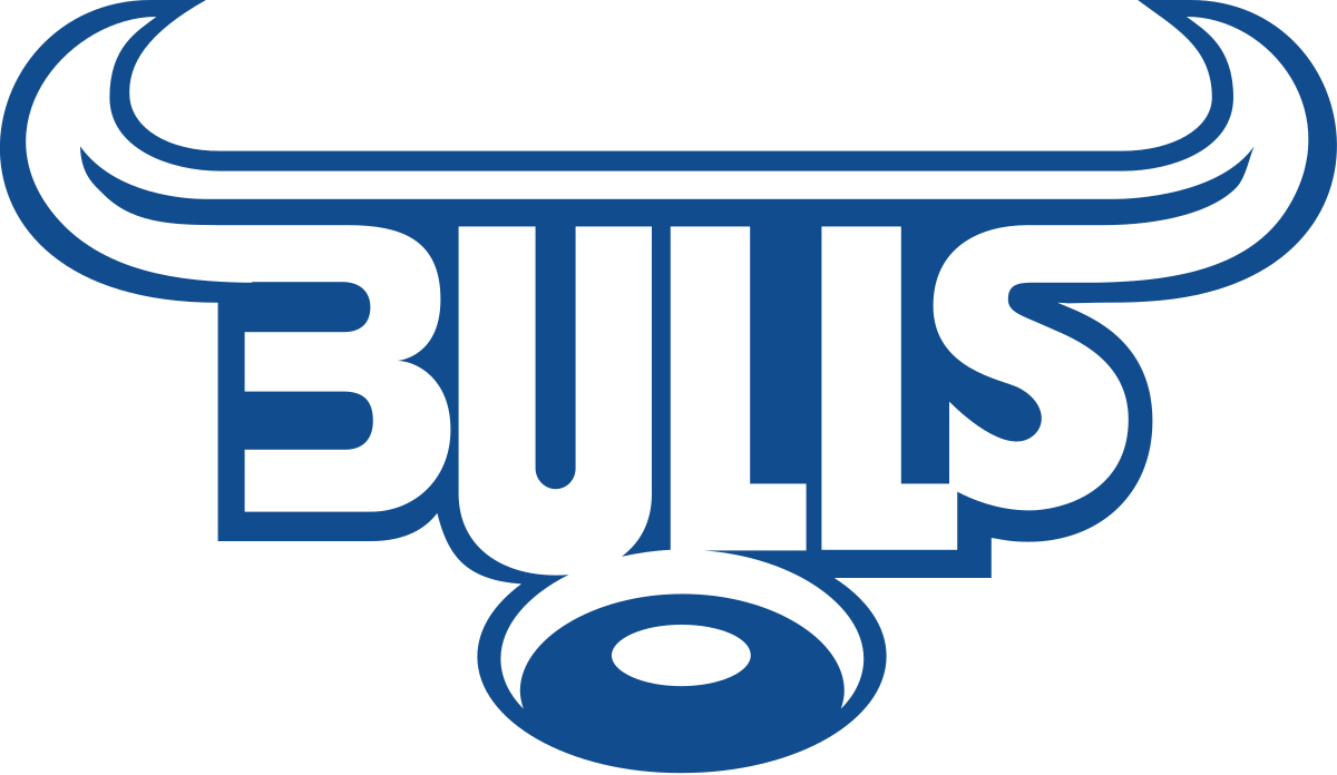 Bulls Team Logo Profile Page