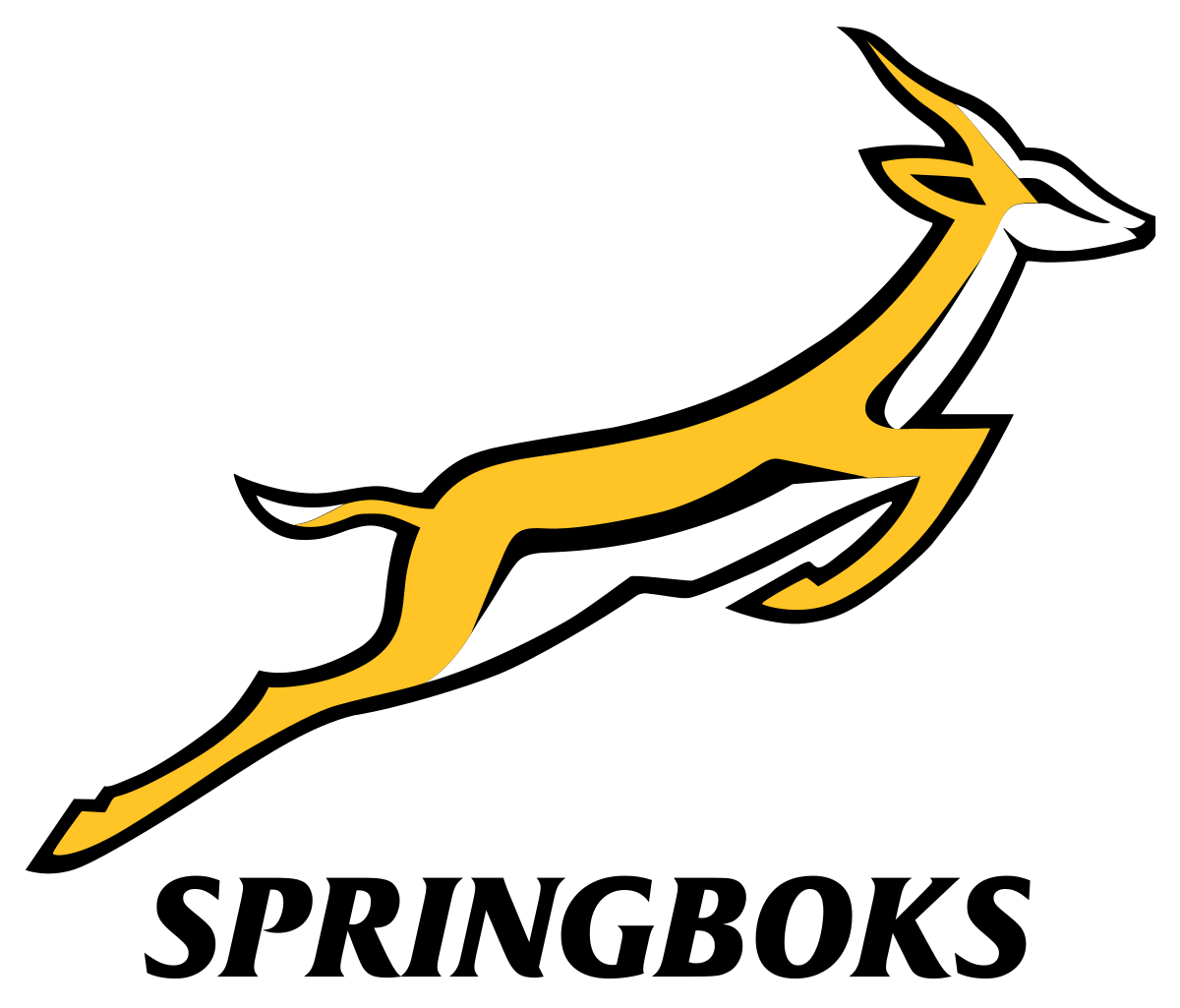 South Africa Team Logo Profile Page