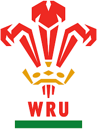 Wales Team Logo Profile Page